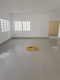 https://img.olx.com.br/thumbs256x256/96/966575756534016.jpg