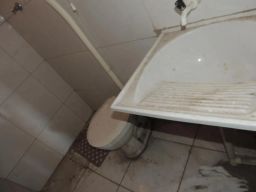 https://img.olx.com.br/thumbs256x256/96/966594756685095.jpg
