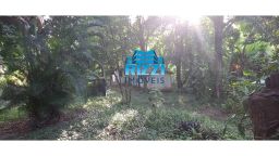 https://img.olx.com.br/thumbs256x256/96/967527769777006.jpg