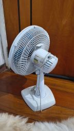 https://img.olx.com.br/thumbs256x256/96/967639210429957.jpg