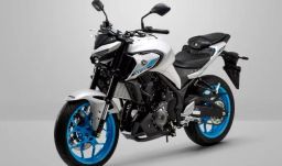 https://img.olx.com.br/thumbs256x256/96/968513044856015.jpg