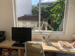 https://img.olx.com.br/thumbs256x256/96/968541751596820.jpg