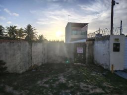 https://img.olx.com.br/thumbs256x256/96/969504041567576.jpg