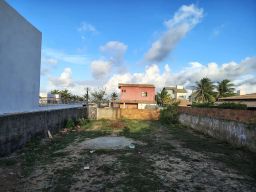 https://img.olx.com.br/thumbs256x256/96/969530645557774.jpg