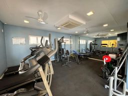 https://img.olx.com.br/thumbs256x256/96/969538398793840.jpg