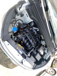 https://img.olx.com.br/thumbs256x256/96/969561521591467.jpg