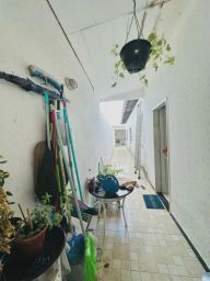 https://img.olx.com.br/thumbs256x256/96/969595407206992.jpg