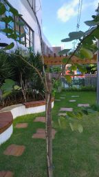 https://img.olx.com.br/thumbs256x256/96/969639672457440.jpg