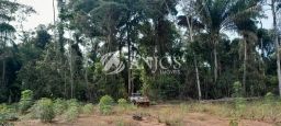 https://img.olx.com.br/thumbs256x256/97/970558289096718.jpg