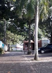 https://img.olx.com.br/thumbs256x256/97/971507513528069.jpg
