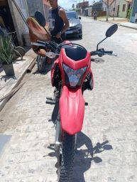 https://img.olx.com.br/thumbs256x256/97/971546159159128.jpg
