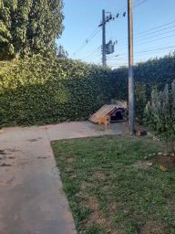 https://img.olx.com.br/thumbs256x256/97/972444196444507.jpg