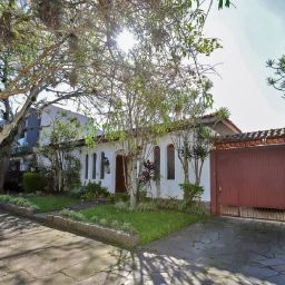 https://img.olx.com.br/thumbs256x256/97/972575142841091.jpg