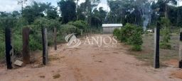 https://img.olx.com.br/thumbs256x256/97/972579640159479.jpg