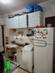 https://img.olx.com.br/thumbs256x256/97/973519164694109.jpg