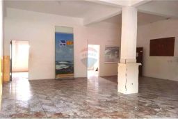 https://img.olx.com.br/thumbs256x256/97/973552641229241.jpg