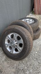 https://img.olx.com.br/thumbs256x256/97/973554622543196.jpg