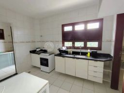 https://img.olx.com.br/thumbs256x256/97/973555640102247.jpg
