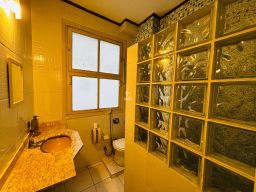 https://img.olx.com.br/thumbs256x256/97/974514765672038.jpg