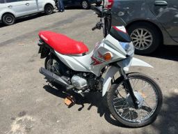 https://img.olx.com.br/thumbs256x256/97/974548027767741.jpg