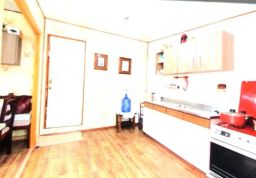 https://img.olx.com.br/thumbs256x256/97/975511523707990.jpg