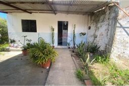 https://img.olx.com.br/thumbs256x256/97/975527281274581.jpg
