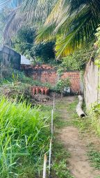 https://img.olx.com.br/thumbs256x256/97/975550517626273.jpg