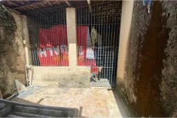 https://img.olx.com.br/thumbs256x256/97/975573760951049.jpg