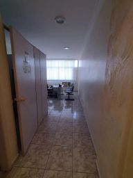 https://img.olx.com.br/thumbs256x256/97/975578037909361.jpg