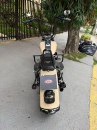 https://img.olx.com.br/thumbs256x256/97/975678335193220.jpg