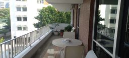 https://img.olx.com.br/thumbs256x256/97/977433544747810.jpg