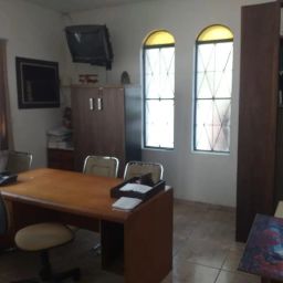 https://img.olx.com.br/thumbs256x256/97/977542263021767.jpg