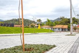 https://img.olx.com.br/thumbs256x256/97/977547407492860.jpg