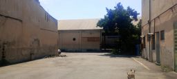 https://img.olx.com.br/thumbs256x256/97/977574272675377.jpg