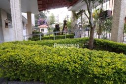 https://img.olx.com.br/thumbs256x256/97/978351582805359.jpg