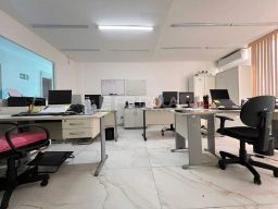https://img.olx.com.br/thumbs256x256/97/978564283096146.jpg