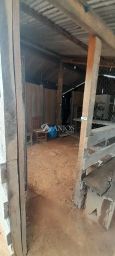 https://img.olx.com.br/thumbs256x256/97/979500645868135.jpg