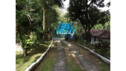 https://img.olx.com.br/thumbs256x256/97/979525160354796.jpg