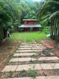 https://img.olx.com.br/thumbs256x256/98/980646253534688.jpg