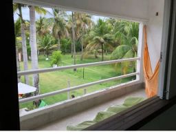 https://img.olx.com.br/thumbs256x256/98/981396197817471.jpg