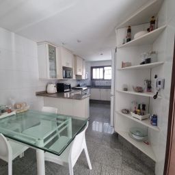 https://img.olx.com.br/thumbs256x256/98/981538745409600.jpg
