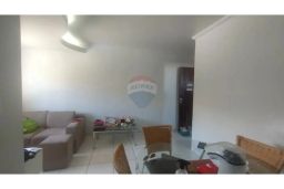 https://img.olx.com.br/thumbs256x256/98/981553049817560.jpg