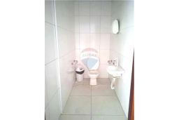 https://img.olx.com.br/thumbs256x256/98/981583163205091.jpg