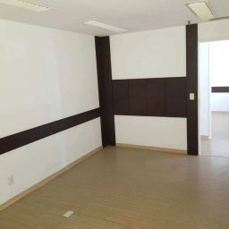 https://img.olx.com.br/thumbs256x256/98/983688515432581.jpg