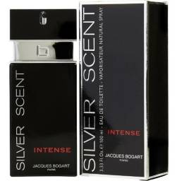 Título do anúncio: Perfume Silver Scent Intense Edt 100ml