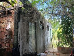 https://img.olx.com.br/thumbs256x256/98/984516512389533.jpg