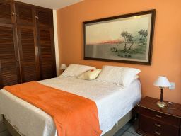 https://img.olx.com.br/thumbs256x256/98/984536755640070.jpg