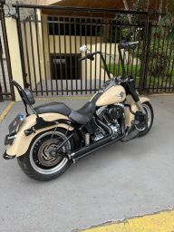 https://img.olx.com.br/thumbs256x256/98/985653814170195.jpg