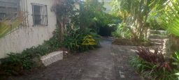 https://img.olx.com.br/thumbs256x256/98/986500637317561.jpg