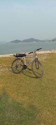 https://img.olx.com.br/thumbs256x256/98/987565623442868.jpg